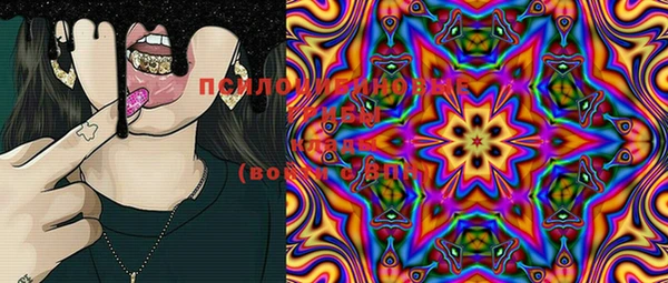 стафф Осинники