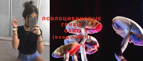 кристаллы Осташков
