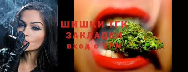 стафф Осинники