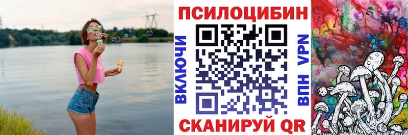 Псилоцибиновые грибы Psilocybine cubensis  сколько стоит  Балабаново 