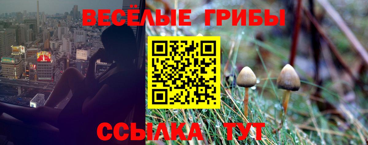 Псилоцибиновые грибы ЛСД  Псилоцибиновые грибы ЛСД  Вход с VPN  Балабаново 