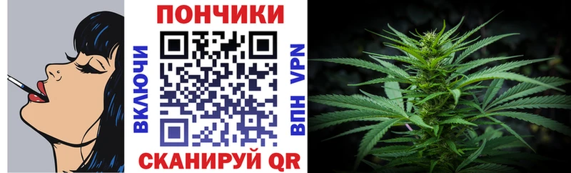 Конопля сатива  МЕГА как войти  Балабаново 